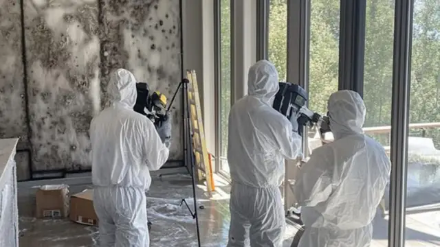 Three technicians in white protective suits assessing mold on the walls of a room